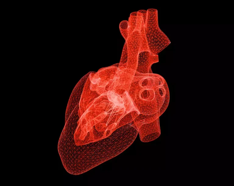 Hart model hartscreening hartcontrole hartckeck hartanalyse