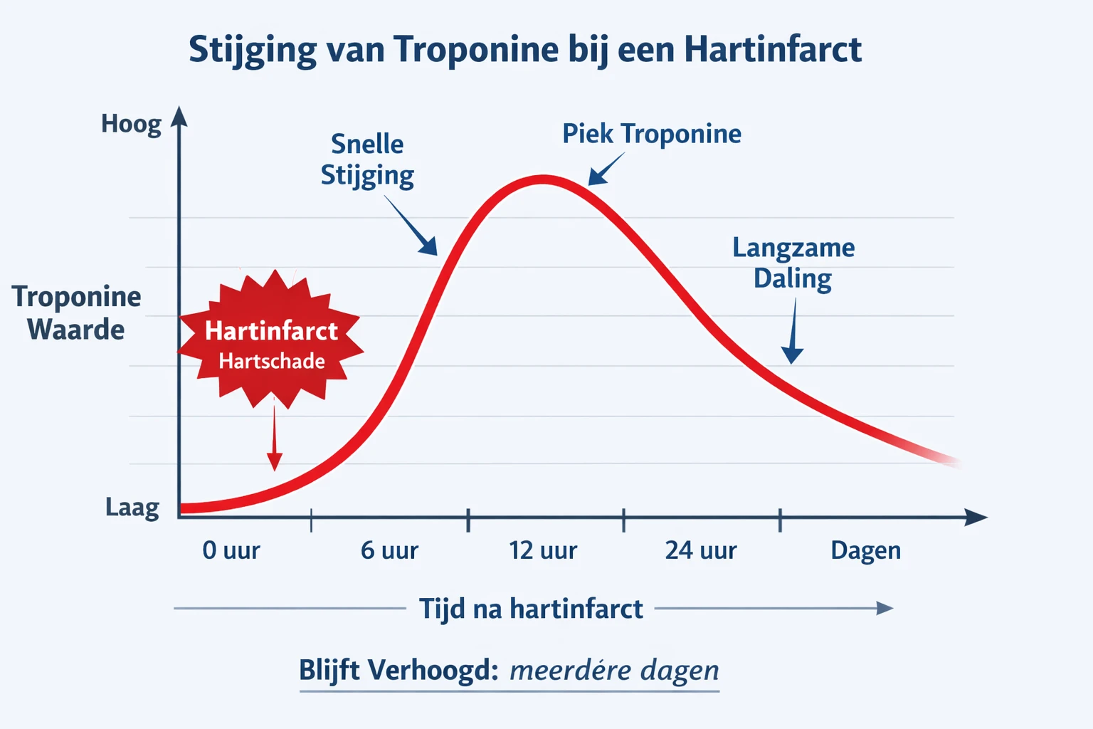 Grafiek troponine waarde stijging bij hartinfarct (myocardinfarct)